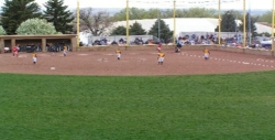 Msu Billings Softball Camps Msu Billings Softball Camps